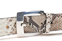 Ladies Belt | Damesceintuur