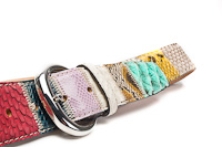 Ladies Belt | Damesceinture